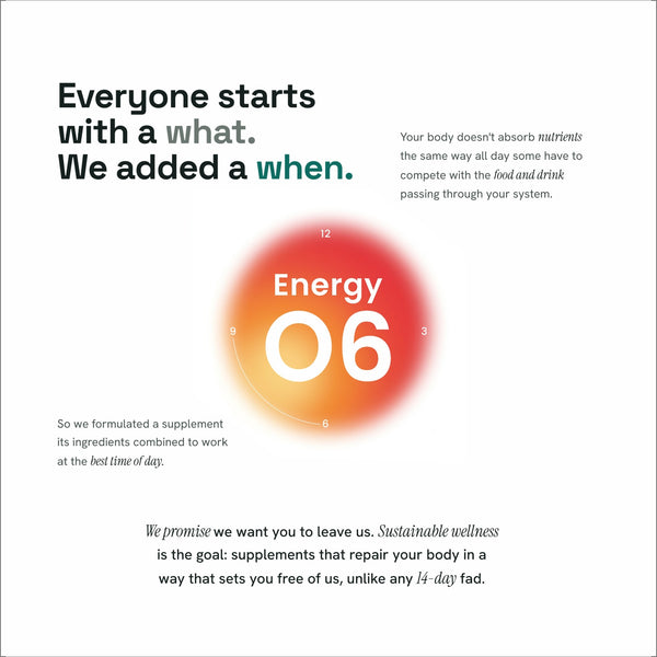 Energy 06 - Daily Energy Support
